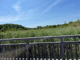 FUN in der Lobau (24)